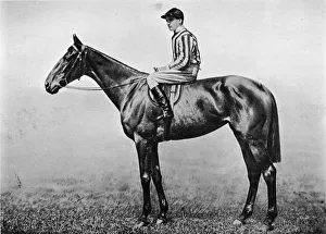 British Sportsmen Drucke: Hacklers Pride, c1860, (1911)