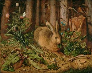 Animal Depiction In Art Drucke: A Hare in the Forest, about 1585. Creator: Hans Hoffmann