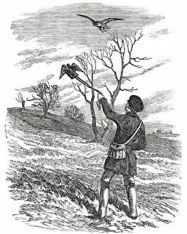 Bird Of Prey Illustrations Drucke: Hawking - the Lure, 1850. Creator: Unknown