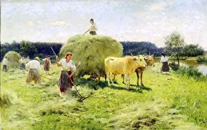 Bilder Datiert 2011 Januar: Grasbeschneidung, 1907