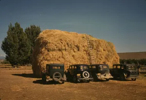 Haufen und Auto von Äpfelpickers in Delawar County (Kokopelli), Kolorado, 1940. Ersteller: Russell Lee