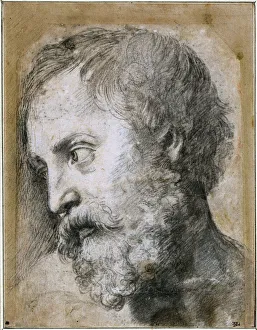 Führer eines Apostels, Studium zur Verwandlung, 1519 - 1520. Künstler: Raffael (1483 - 1520)