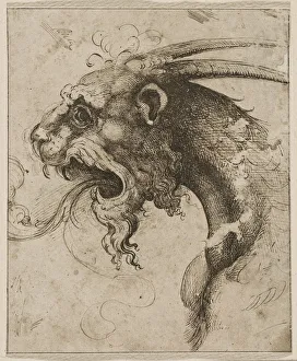 Italian Renaissance Drawings Drucke: Head of a Chimera
