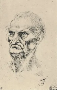 Male Facial Expressions Drucke: Head of an Old Man Three-Quarters to the Left, c1480 (1945). Artist: Leonardo da Vinci