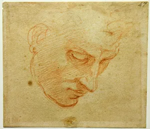 Florence Fine Art Images Drucke: Head Study to the Sistine Chapel ceiling