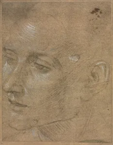Filippino Lippi Art Drucke: Head of a Young Man, second half 1400s. Creator: Filippino Lippi (Italian, 1457-1504)