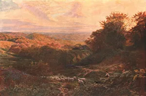 English Rural Scene Drucke: The Heart of Surrey, 1874, (c1902). Creator: Unknown