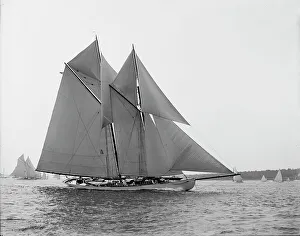 Black And White Sailboats Drucke: Hildegarde, c1900. Creator: Unknown
