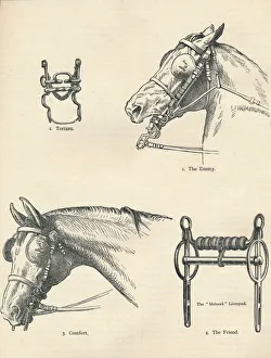 Horse Riding Equipment Drucke: Horse bits, good and bad, c1909 (c1910)