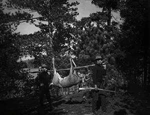 Jagd im Adirondack 1890-03 (Unerkennter Künstler)