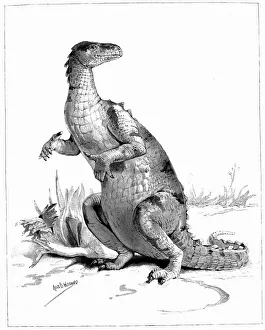 Herbivorous Dinosaurs Drucke: Iguanodon, 1895