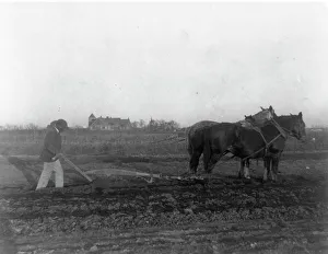 Verbesserter Pflugmethoden, (1899?). Erfinderin : Frances Benjamin Johnston