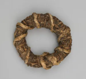 European Armaments History Drucke: Incendiary Quoit (Throwing Ring), Austria, 17th Century. Creator: Unknown