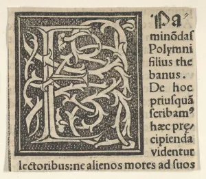 Anfangsbuchstabe E auf Mustergrundlage, 1520. 1520. Erfinder: Unbekannt