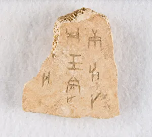 Fragment eines eingeschriebenen Knochen (Orakelknochen), späte Shang-Dynastie, ca. 1300-1050 v. Chr.