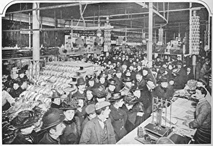 Early 20th Century London Life Drucke: Inside a big provision stores, Hammersmith, London, 1901 (1903)