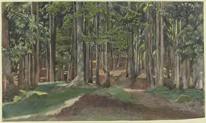 Drucke von In den Tiefen eines 19. Jahrhunderts Waldes, wo die Natur ihre Schönheit offenbart Wald-Kunstwerk Drucke: Ein Waldgang im 19. Jahrhundert