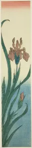 Japanese Nature Scenes Drucke: Iris, 1840s. Creator: Ando Hiroshige