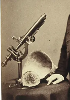 Black And White Heritage Art Drucke: James Scott Bowerbank. Creator: Unknown