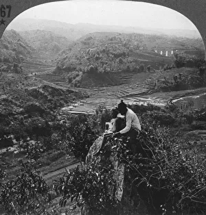 Indonesian Countryside Drucke: Java, Indonesia, c1900s