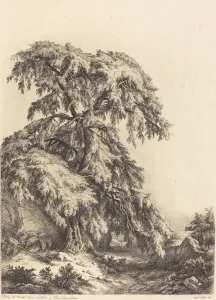 Heritage Botanical Art Drucke: Juniper Tree, 1840. Creator: Eugene Blery
