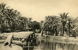 Bilder Datiert 2019 Februar: Über die Kora, Basra, c1918-c1939. Schöpfer: Unbekannt.