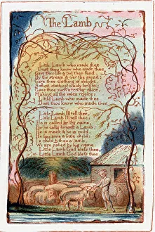 Zeichnungen Drucke: Der Hirsch, Illustration aus den Liedern der Unschuld und Erfahrung