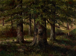 Landschaft mit Buchen, Datum unbekannt, um 1900-1940. Künstler: Edward Sitzman