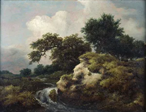 Fine Art Oil On Wood Panels Drucke: Landscape with Dune and Small Waterfall