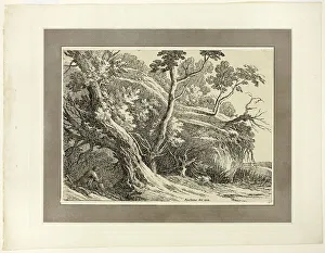 Black And White Landscape Prints Drucke: Landscape with Large Trees, from the first issue of Specimens of Polyautography