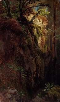 Landschaftsstudie mit einem Schlucht, wahrscheinlich 1850. Künstler: Herman August Cappelen.