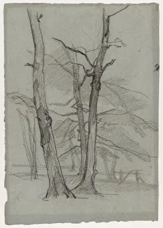 Thomas Couture Artwork Drucke: Landscape Study with Trees, c. 1870-1875. Creator: Thomas Couture (French, 1815-1879)