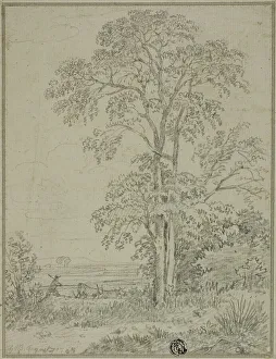 English Landscape Artists Drucke: Landscape with Tree, Man, and Cows, August 7, 1765. Creator: George Howland Beaumont