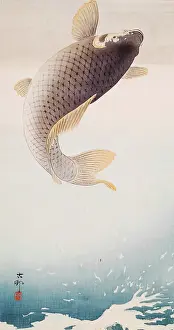 Japanese Heritage Art Drucke: Leaping Carp, c1910. Creator: Ohara Koson