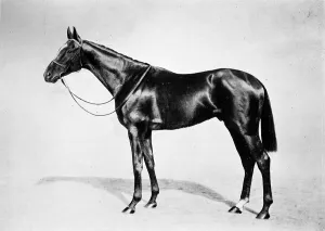 Epsom Derby History Drucke: Lemberg, 1911