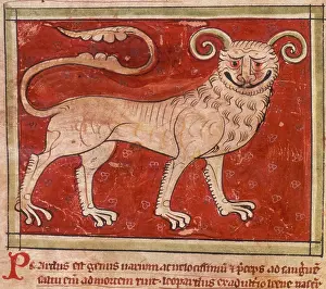 British Library Manuscripts Drucke: A leopard, 14th century. Creator: Unknown