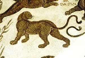 Feline Animal Images Drucke: Leopard, c2nd-3rd century
