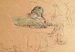 Aberdeen Archives Collection Drucke: Leopard. Creator: John MacAllan Swan