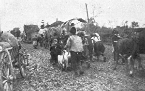 World War One Refugees Drucke: L'exode des paysans serbes.'. Creator: Unknown