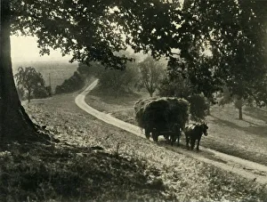 Black And White Rural Landscape Drucke: The Last Load, 1936. Creator: Unknown