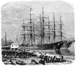 US Maritime History Drucke: Loading bales of cotton for export, Savannah, Georgia, USA