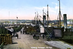 Laden der Kartoffeln aus Jersey im Jahr 1908