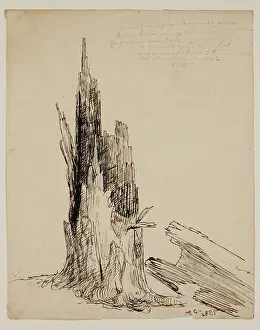 Pen And Ink Drawings Drucke: Lower Part of a Tree 'Recently Fallen', 1825. Creator: Thomas Cole