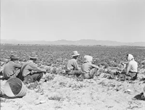 Mittagszeit im Feld mit Lager hinterher am Rande von Calipatria Kalifornien 1939. Künstlerin: Dorothea Lange