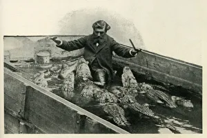 Ward Lock And Co Publications Drucke: M. Pernelet and his Pets, 1902. Creator: Unknown