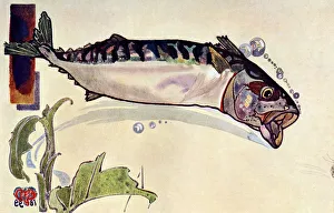 Edward Detmold Artwork Drucke: Mackerel, 1900