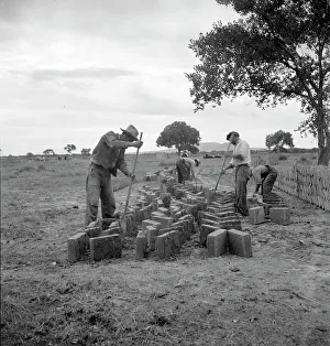 Dorothea Lange Drucke: Making adobe bricks, Bosque Farms project, New Mexico, 1935. Creator: Dorothea Lange