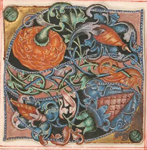 Illuminierung von Handschriften mit Anfangsbuchstabes aus einem Chorgesangbuch des 16. Jahrhunderts. Schöpfer unbekannt