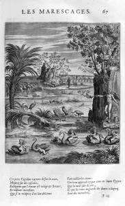 Mosch, 1615., Künstler: Leonard Gaultier