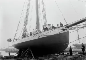 Mayerblume, 1886; Schöpfer John Jhonston